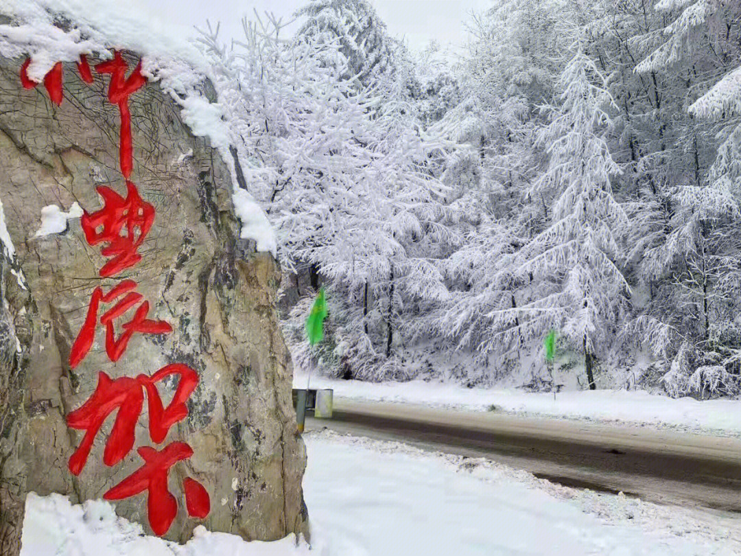 峄山滑雪场电话图片