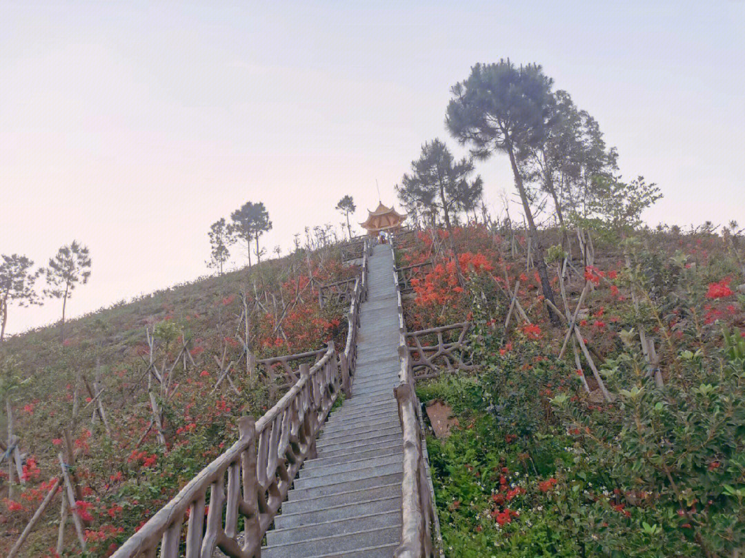 化州丽岗石龙山打卡日落