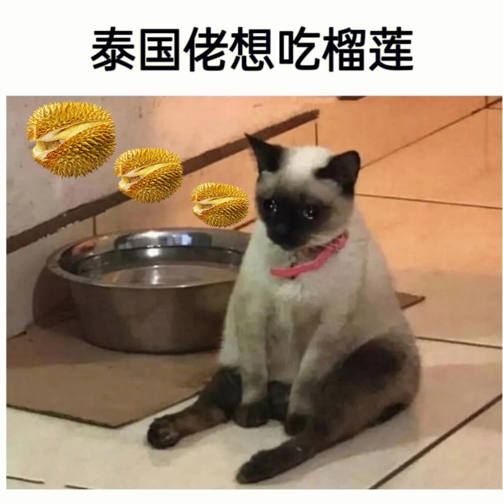 抓住外国佬豆瓣图片