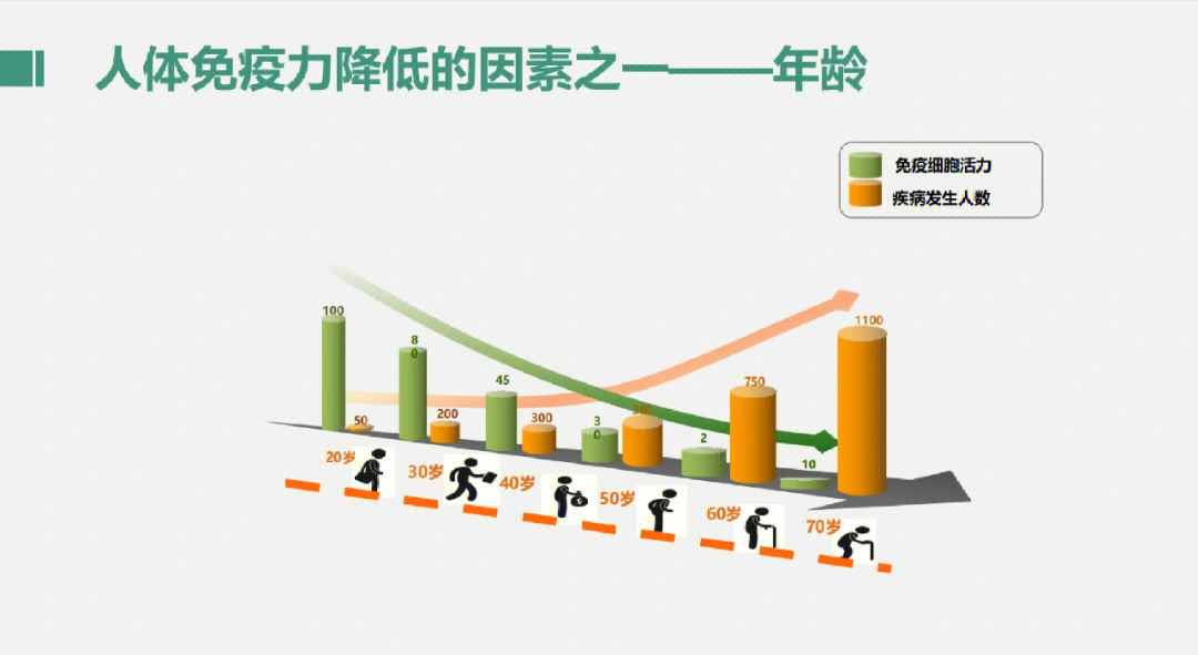 消灭各种入侵身体的细菌和病毒自稳:清理衰老,死亡细胞,对自身免疫