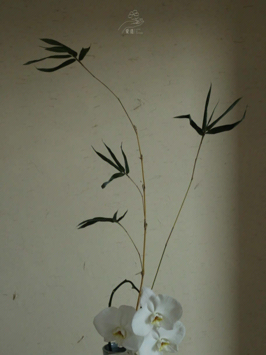 竹子插花作品图片图片