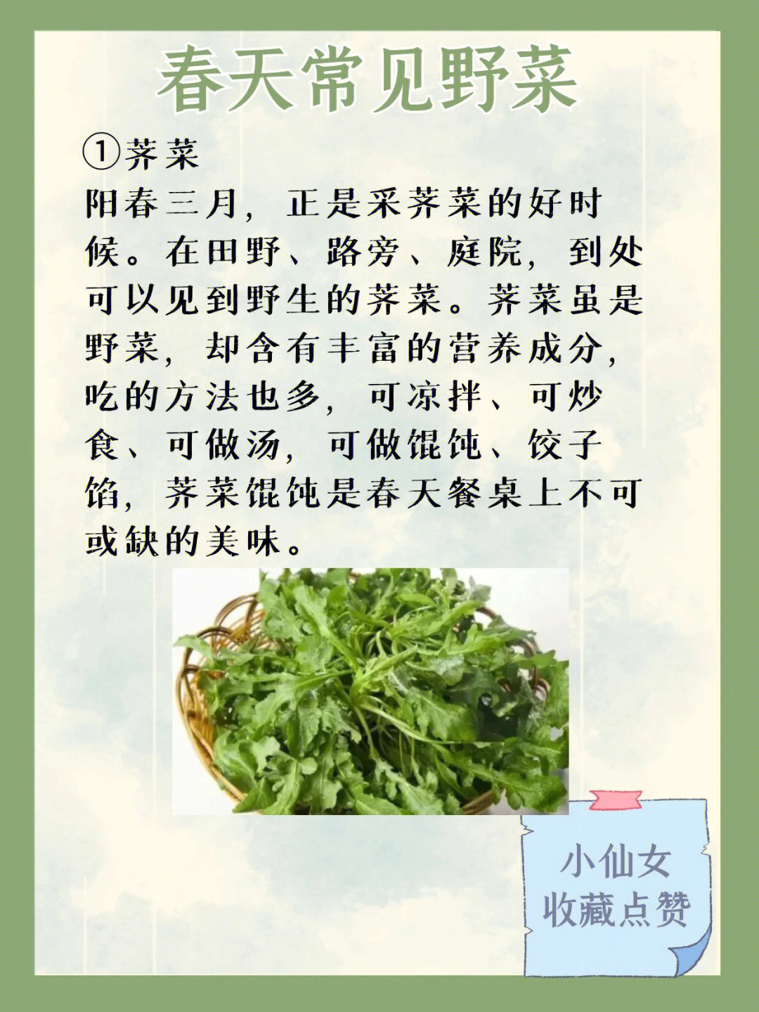 春季野菜大全全名图片