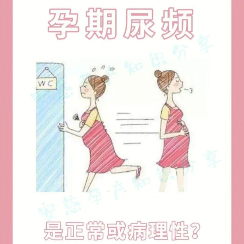 女性白天正常夜晚尿频图片