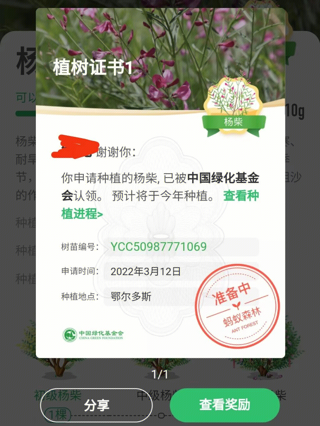 蚂蚁森林植树证书图片