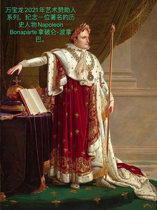 拿破仑的丁丁图片