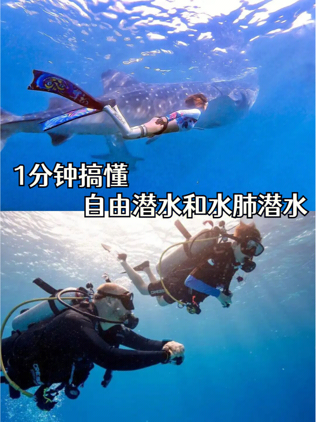 承压水与潜水的区别图片