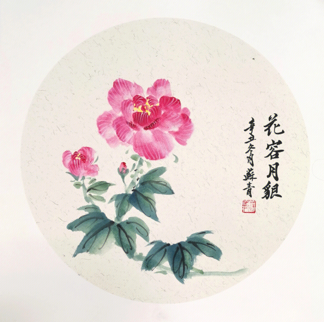 国画芙蓉花