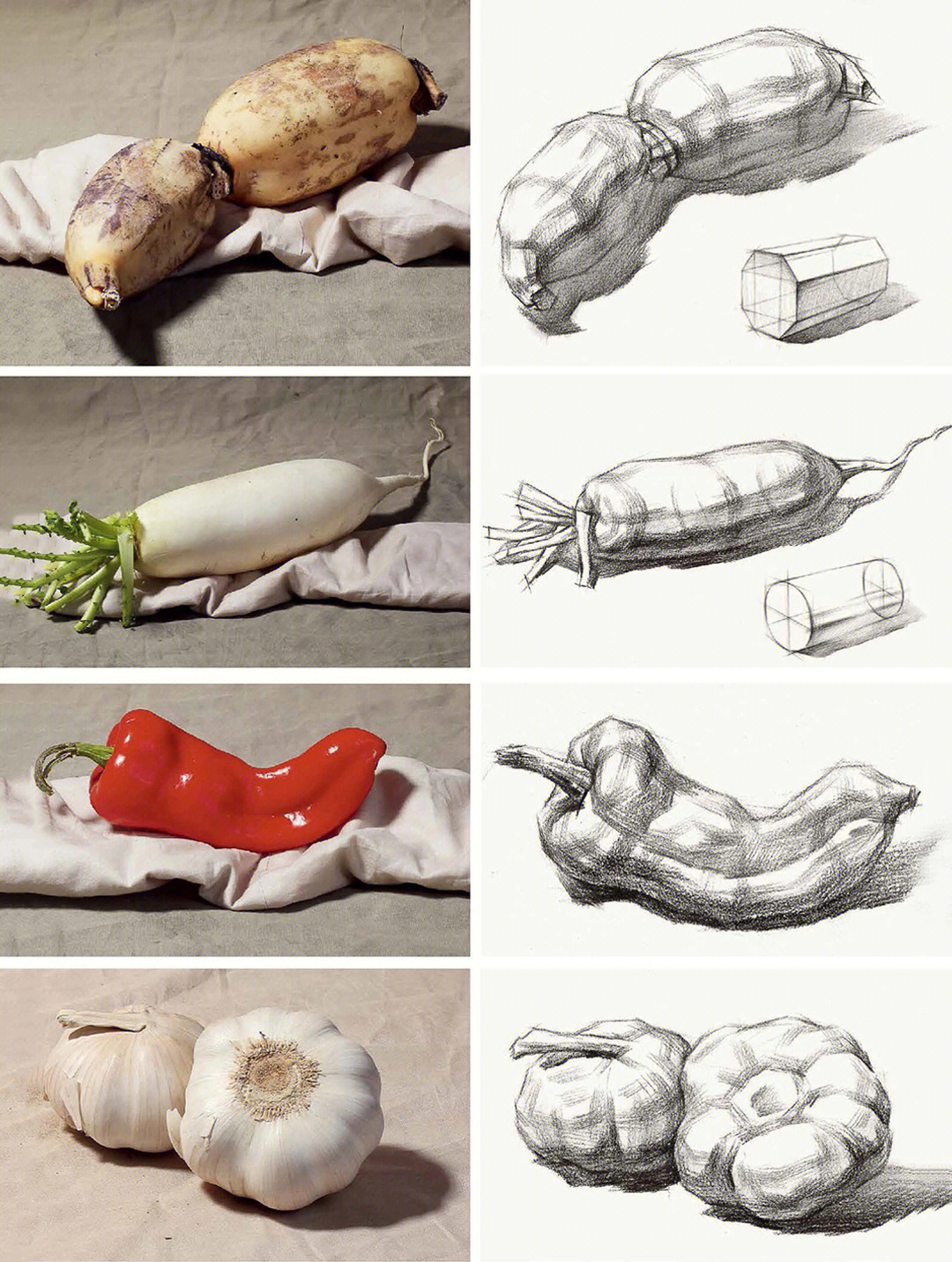 蔬菜大全素描图片