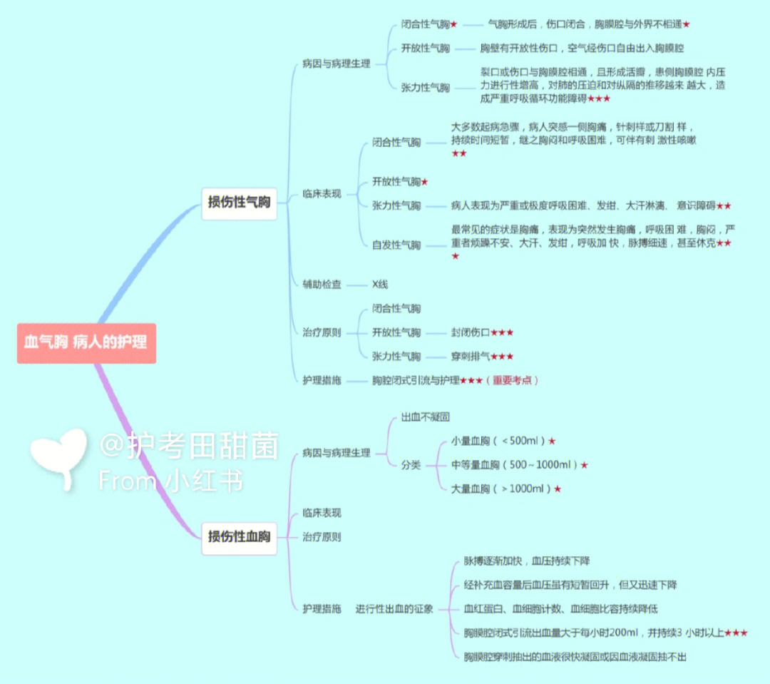 呼吸道探险思维导图图片