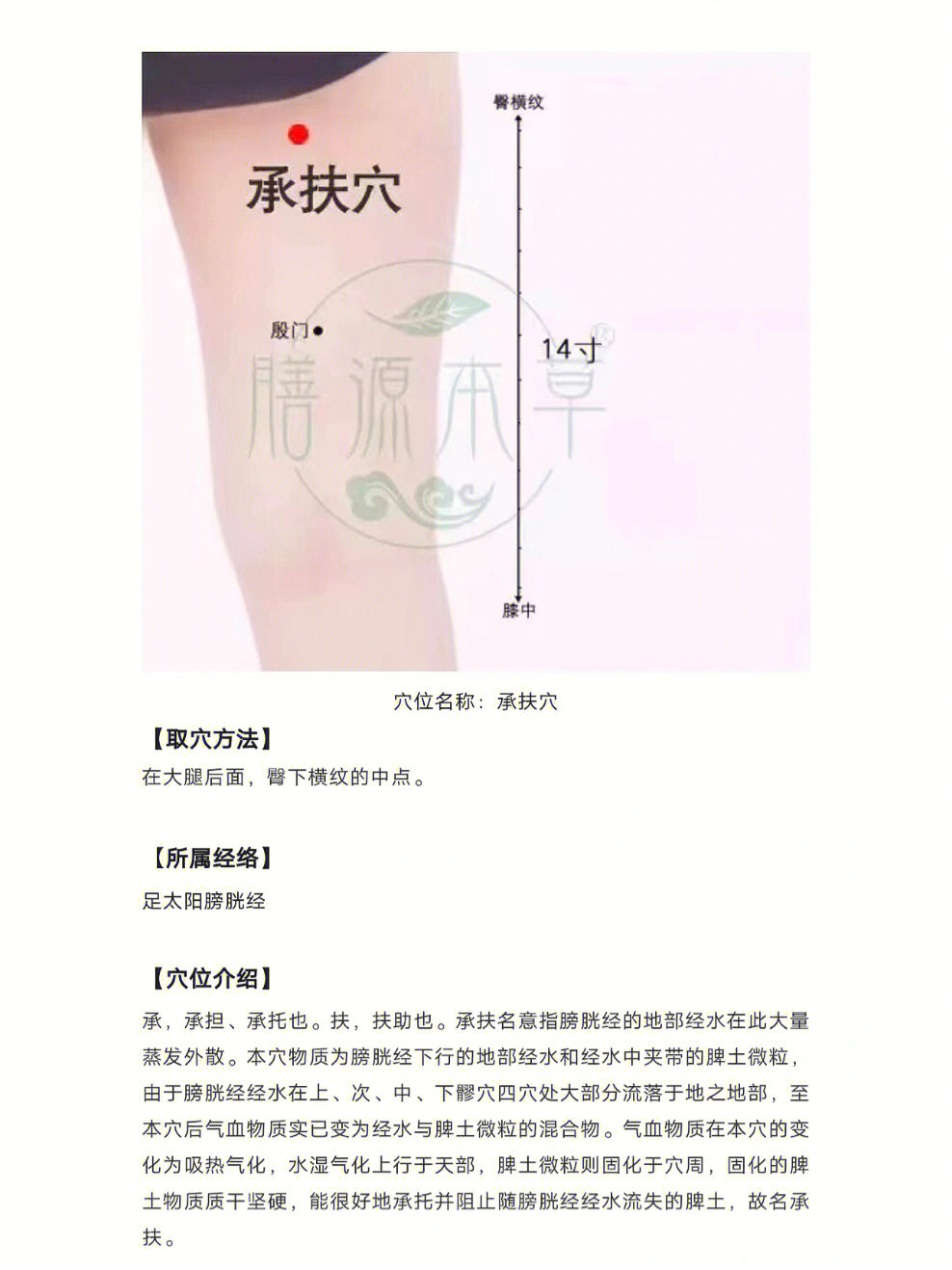 你的股骨头坏死是不是这几个地方疼痛酸胀