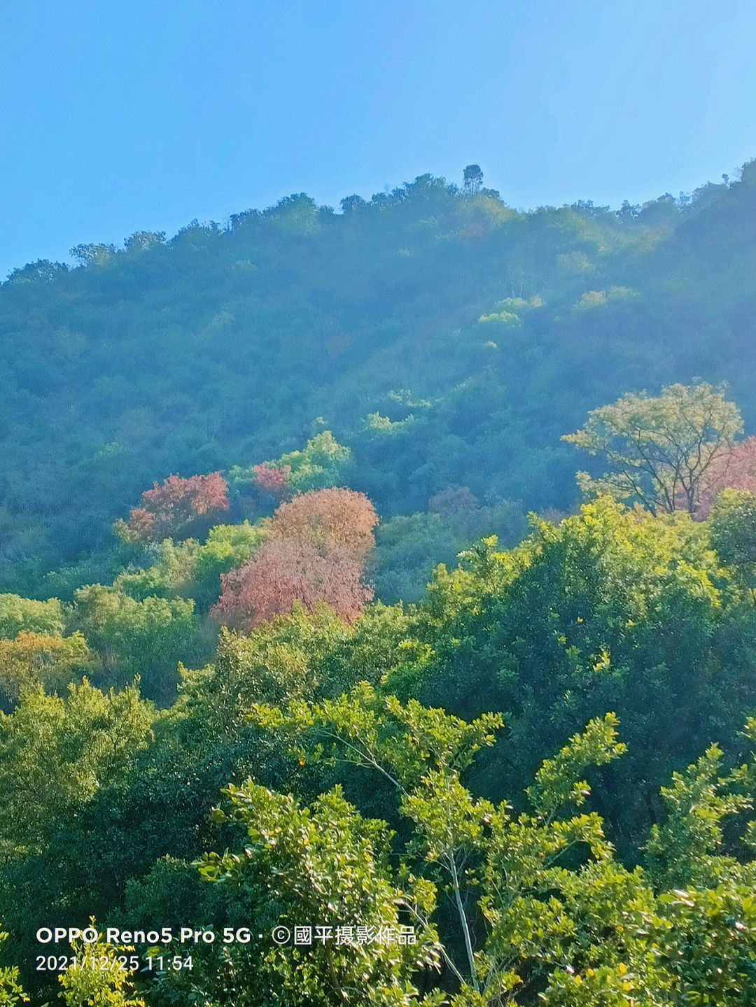 攀枝花玉佛寺登山步道图片