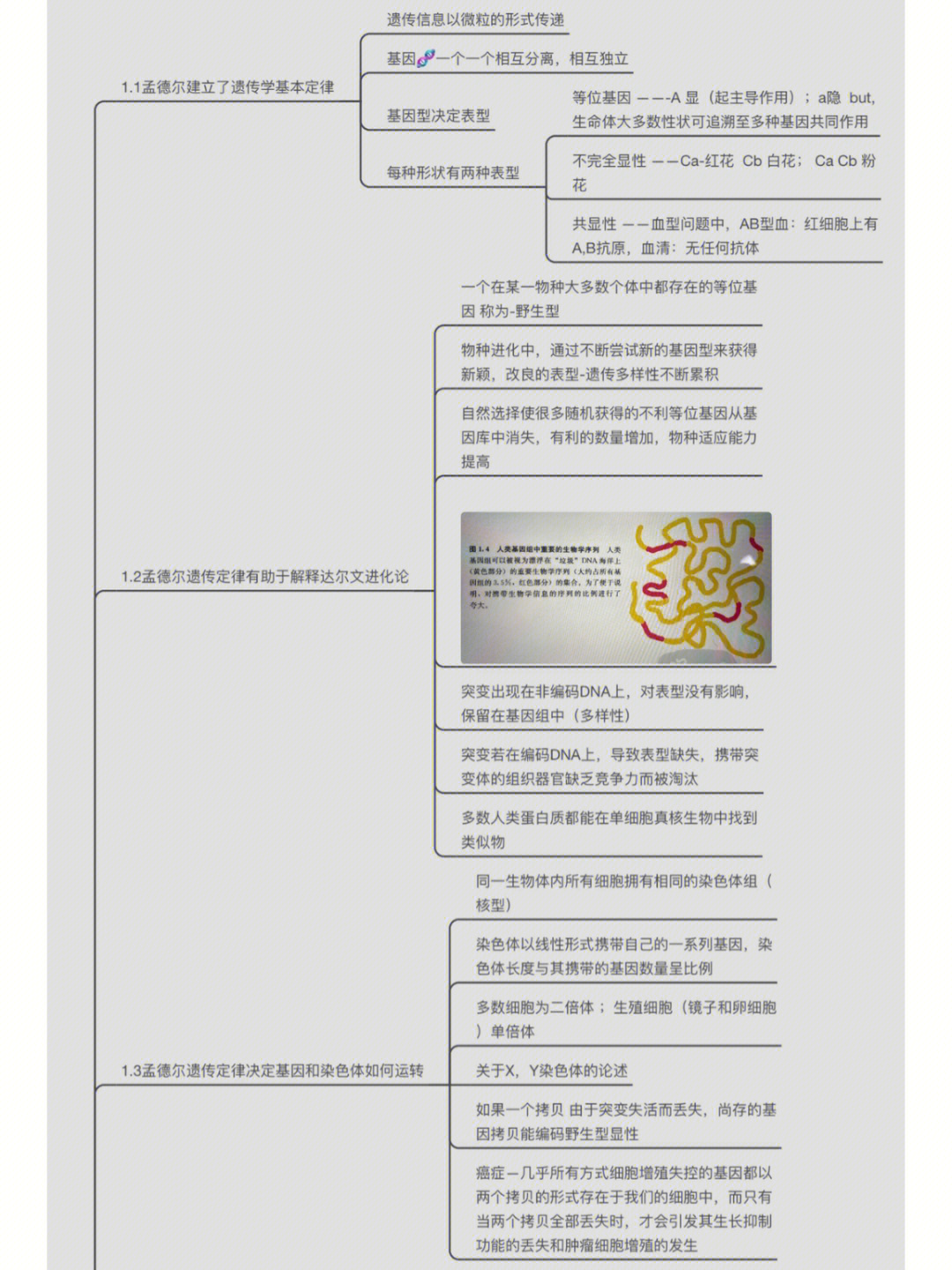 肿瘤的思维导图手写图片