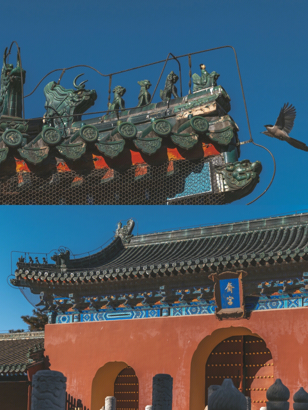 土著玩北京红墙绿瓦天坛的意境在斋宫78