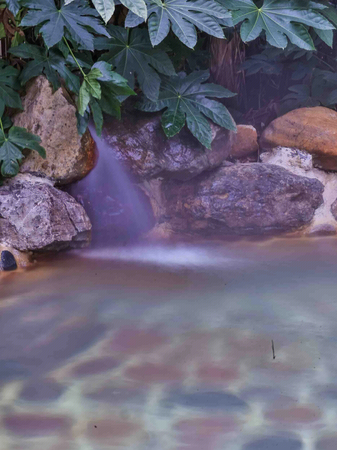 汤池热水河温泉一条龙图片