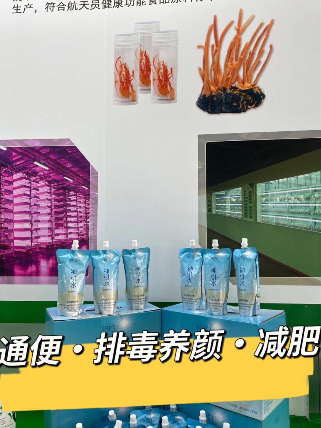 菊苣纤维大健康产业图片