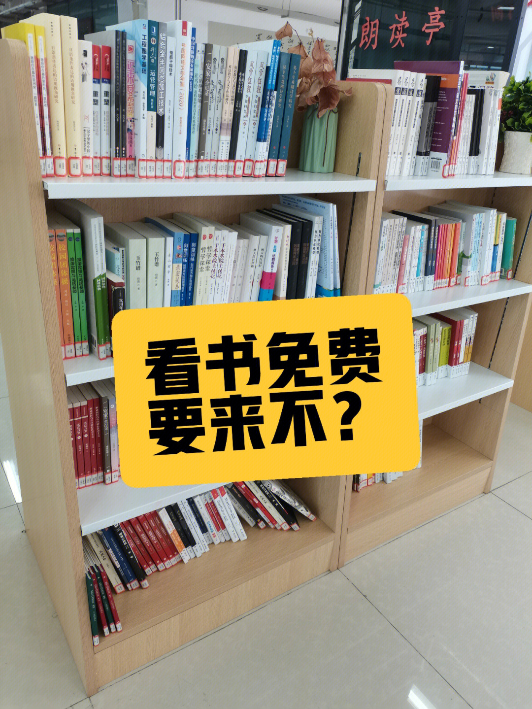 91一路走到图书馆,期末考试期间,还是有不少学生来复习,马上放暑