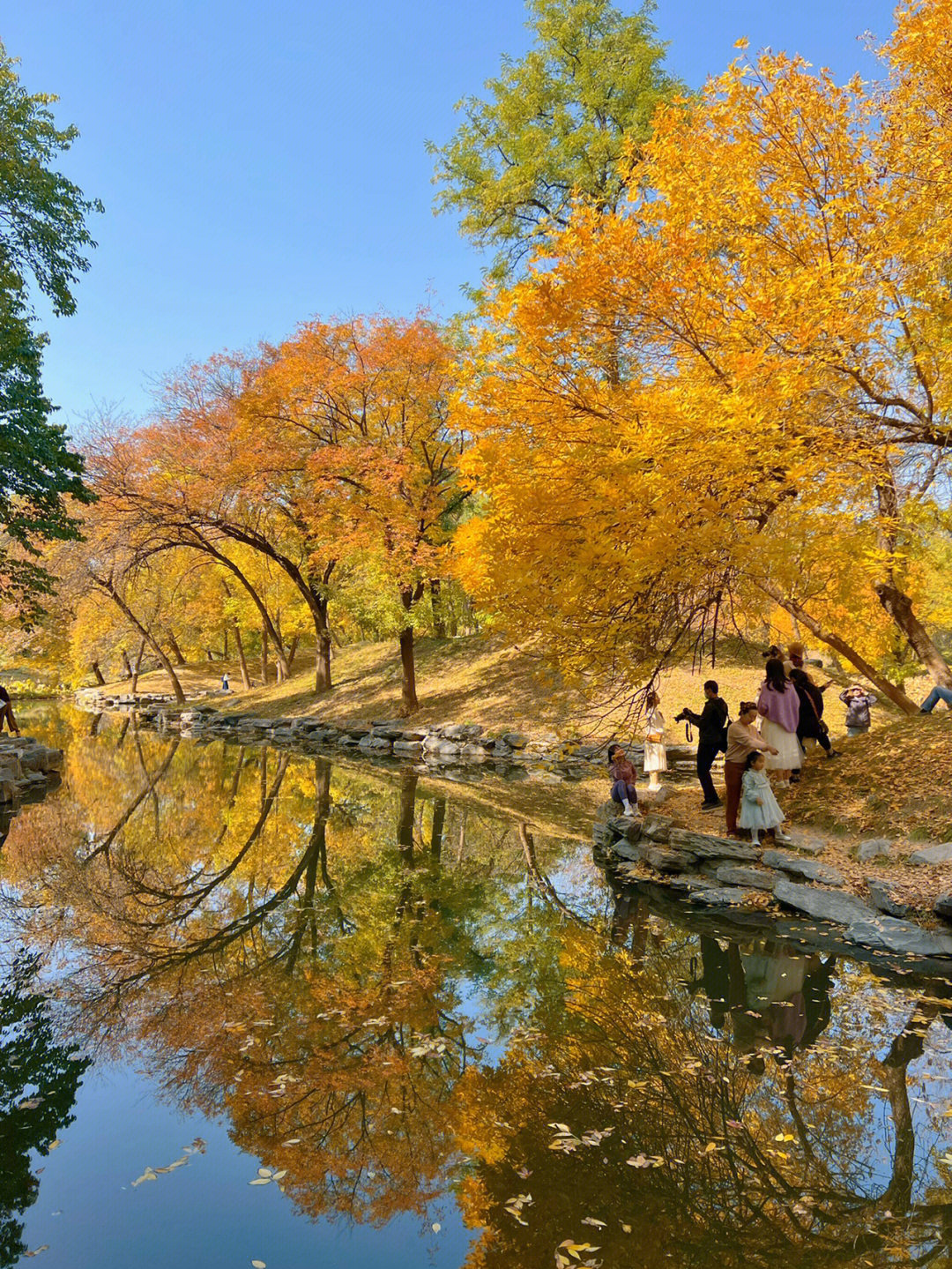 手机直出北京圆明园的秋所见即所得的美