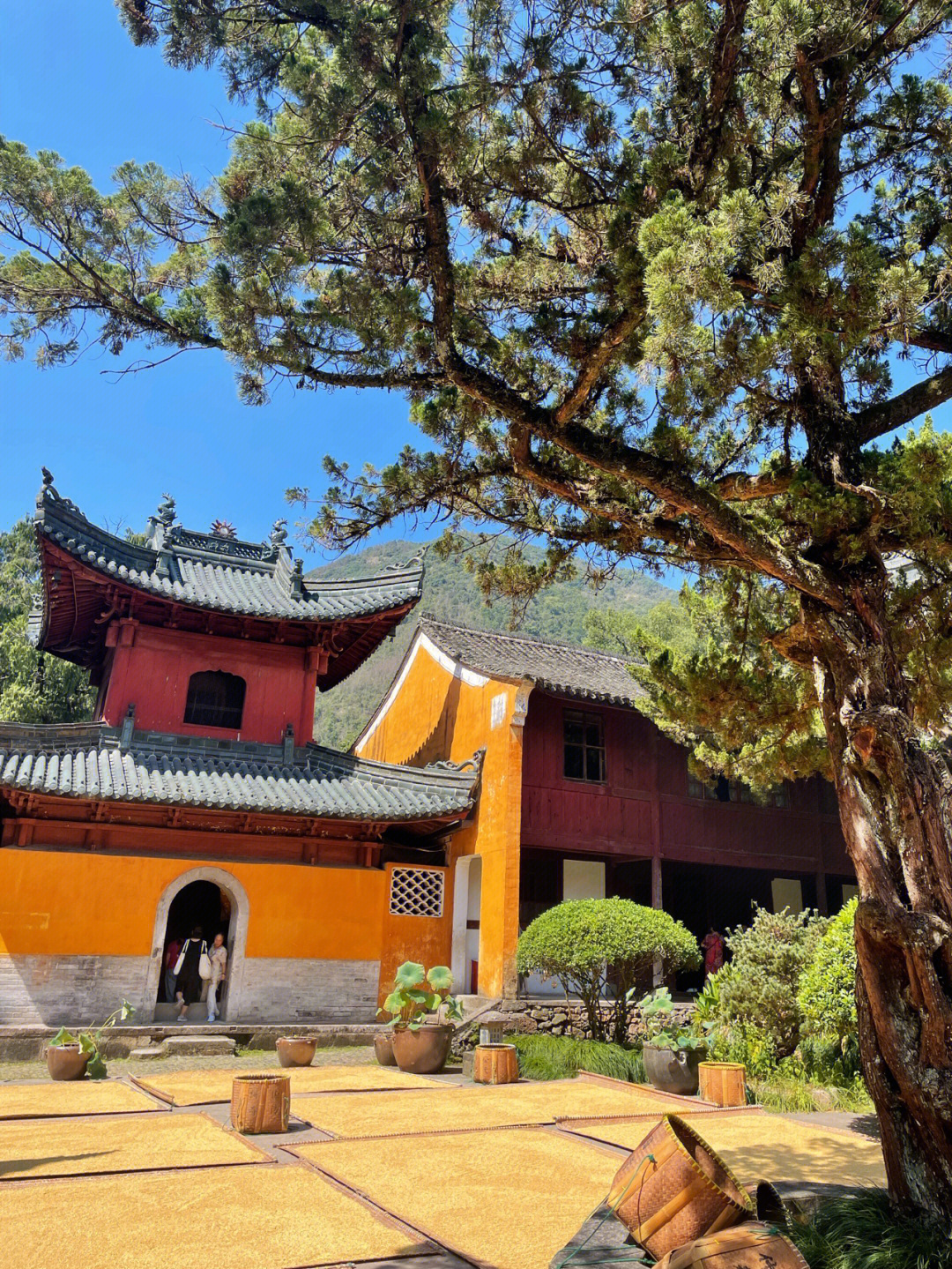 中国最美寺庙国清寺