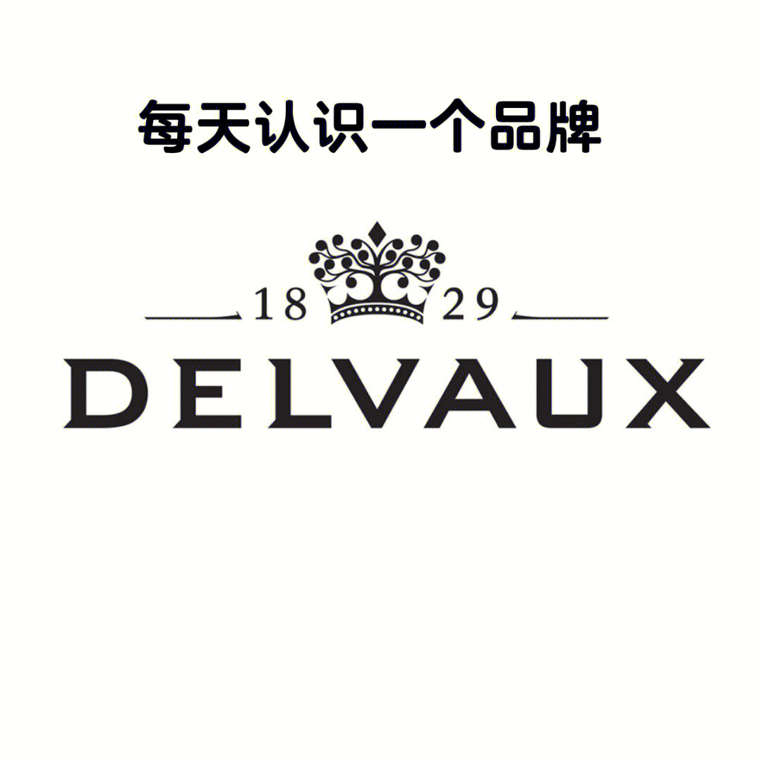 每天认识一个品牌delvaux