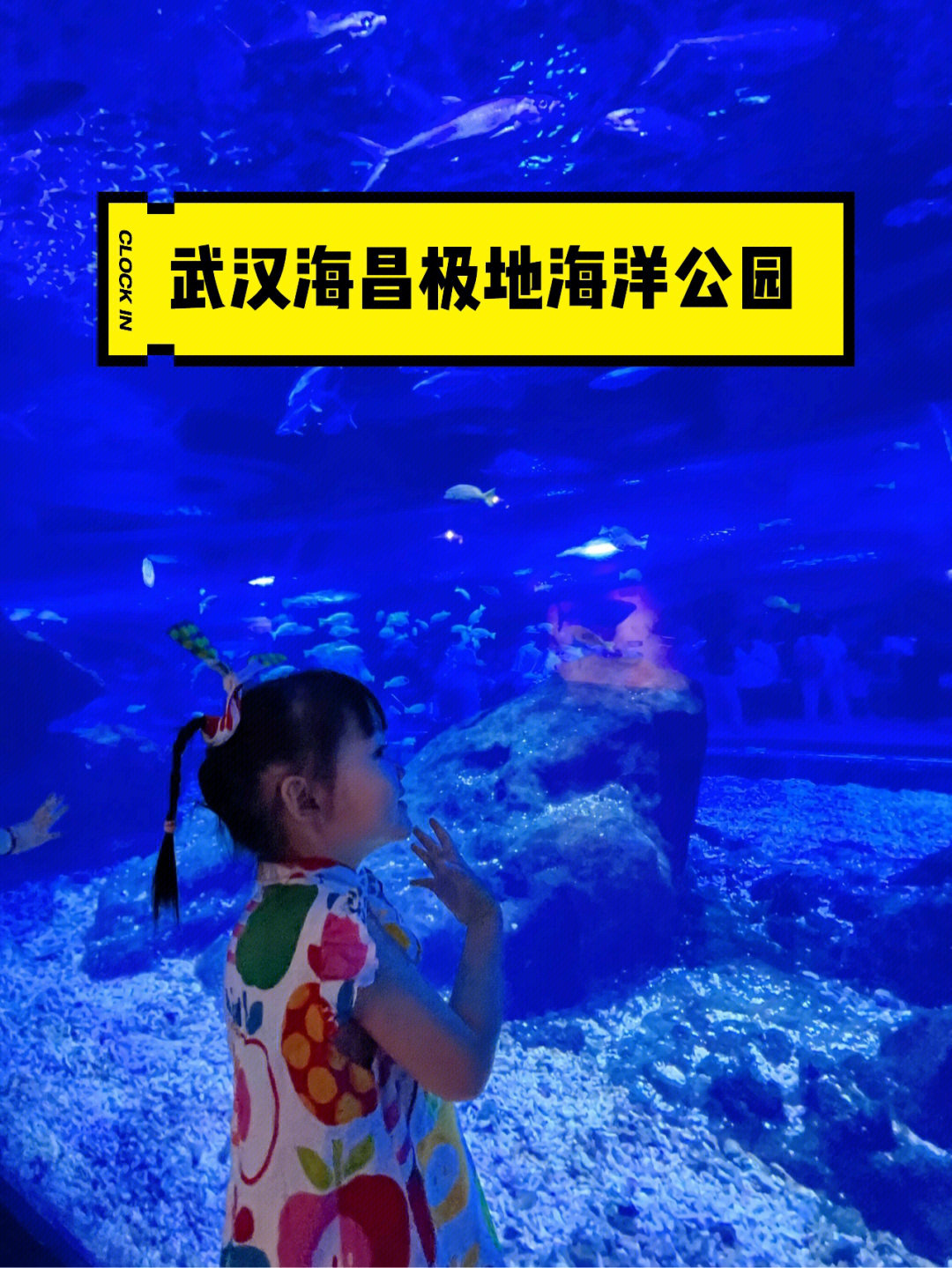 武汉国博海洋乐园进展图片