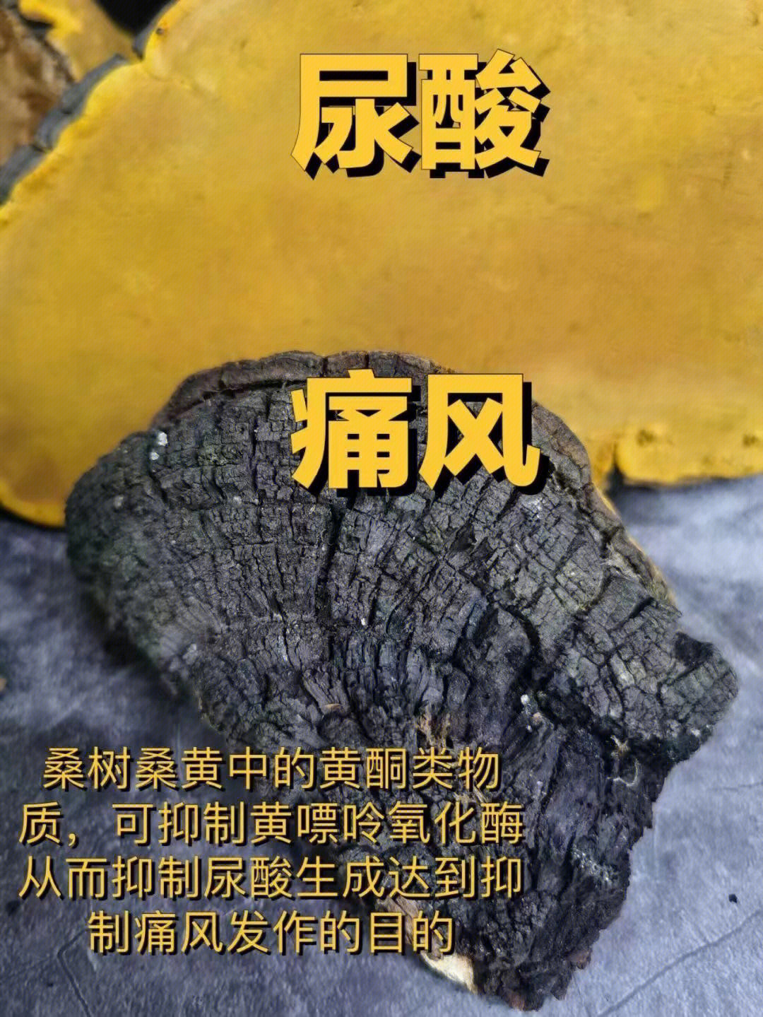 节节草怎样用能治痛风图片