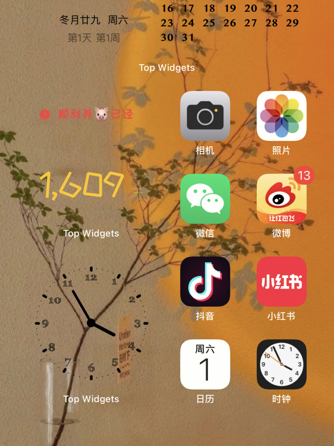 ios15桌面