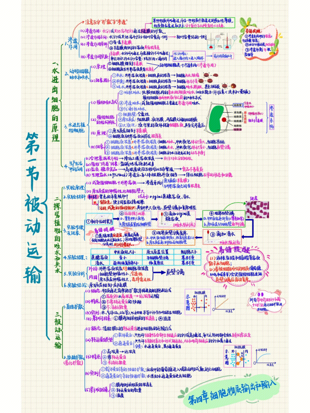 生物必修一第四章导图图片