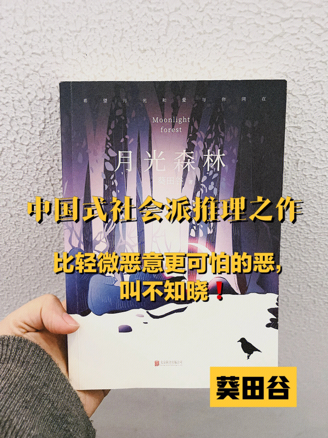 中国式白夜行71悬疑小说月光森林差点意思