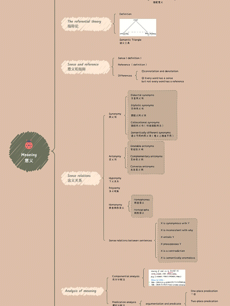 语言学纲要思维导图图片