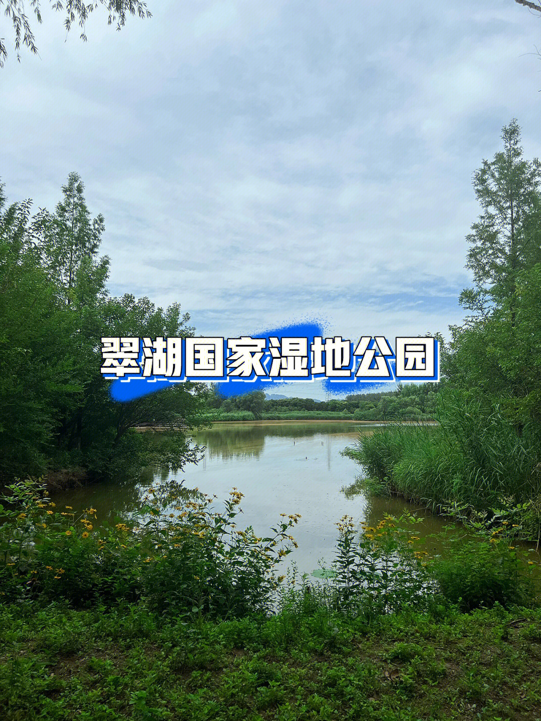 麦积区翠湖公园简介图片