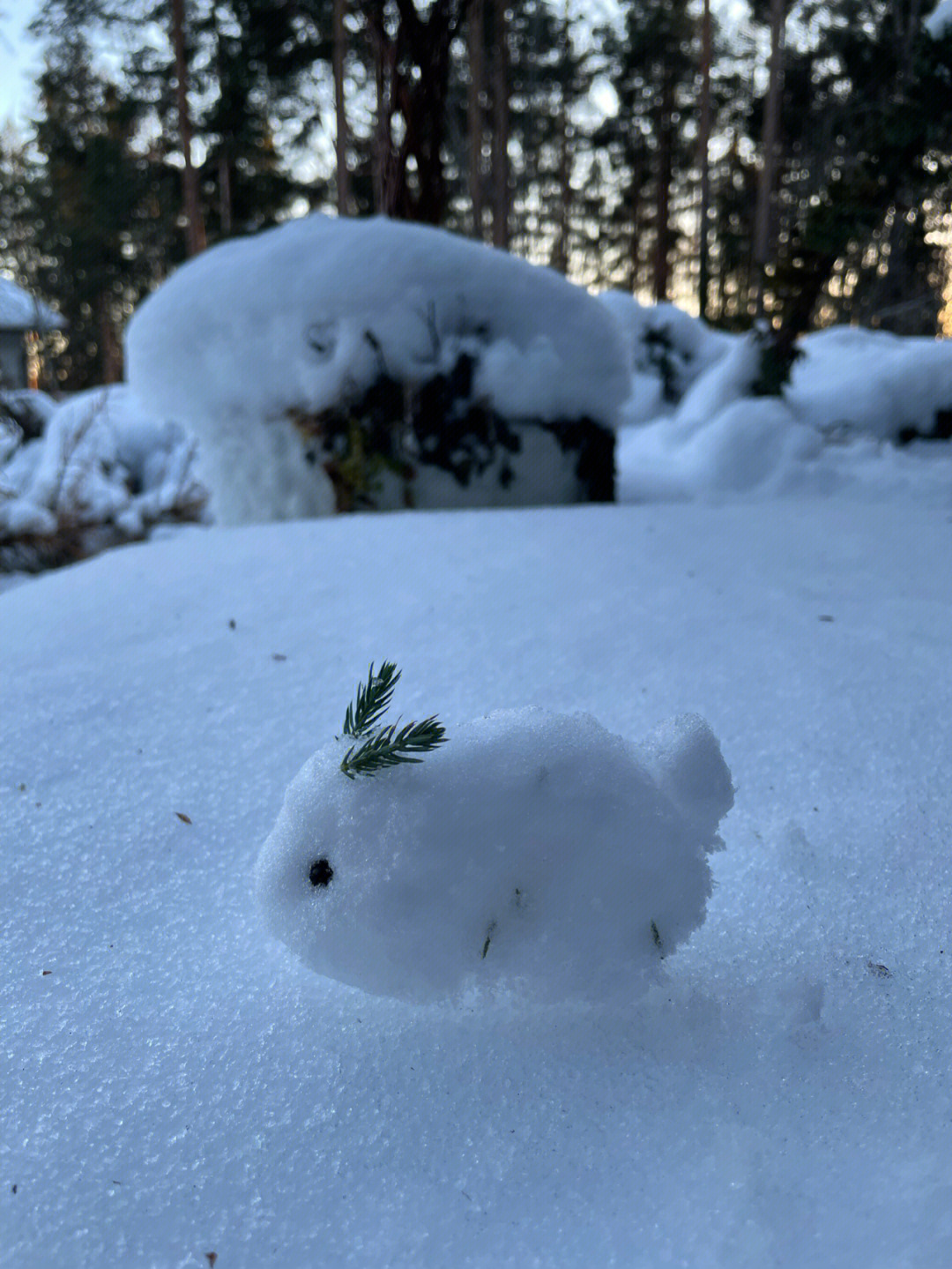 雪堆的兔子图片