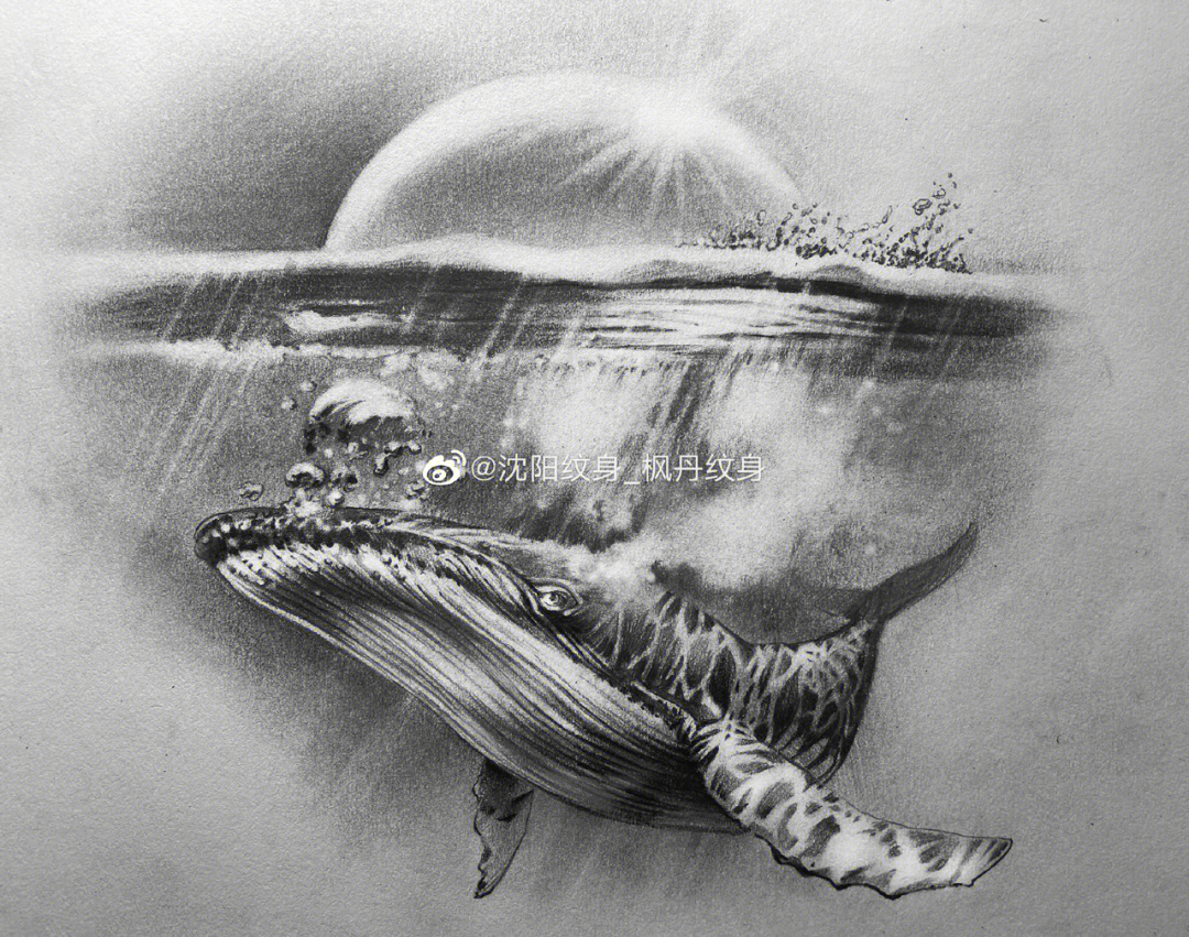 鲸落纹身手稿图片