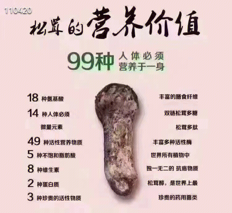 松茸的作用与功效图片