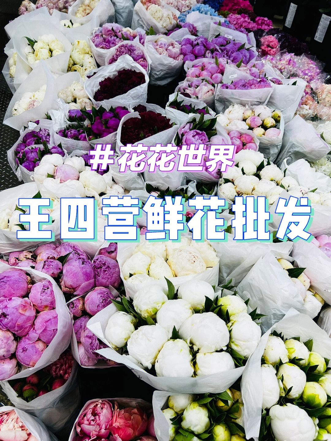 北京花卉市场王四营鲜花批发市场附花价