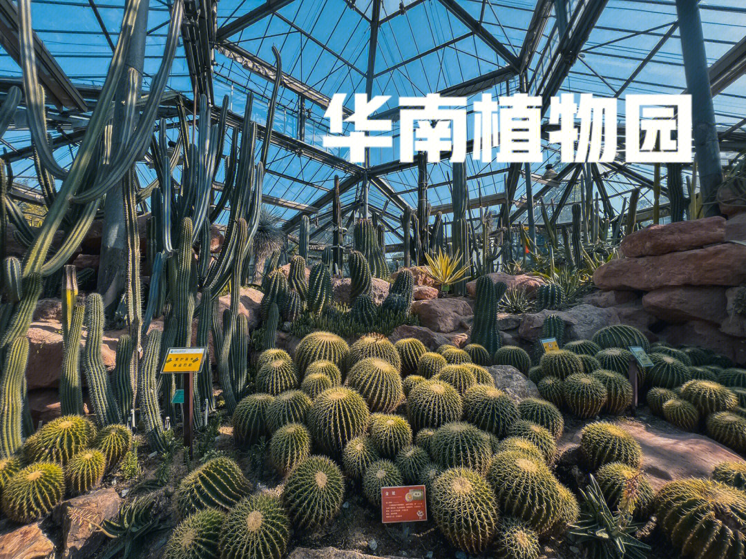 华南植物园交通:6号线植物园站门票:20元(我买的学生票10元)要看温室