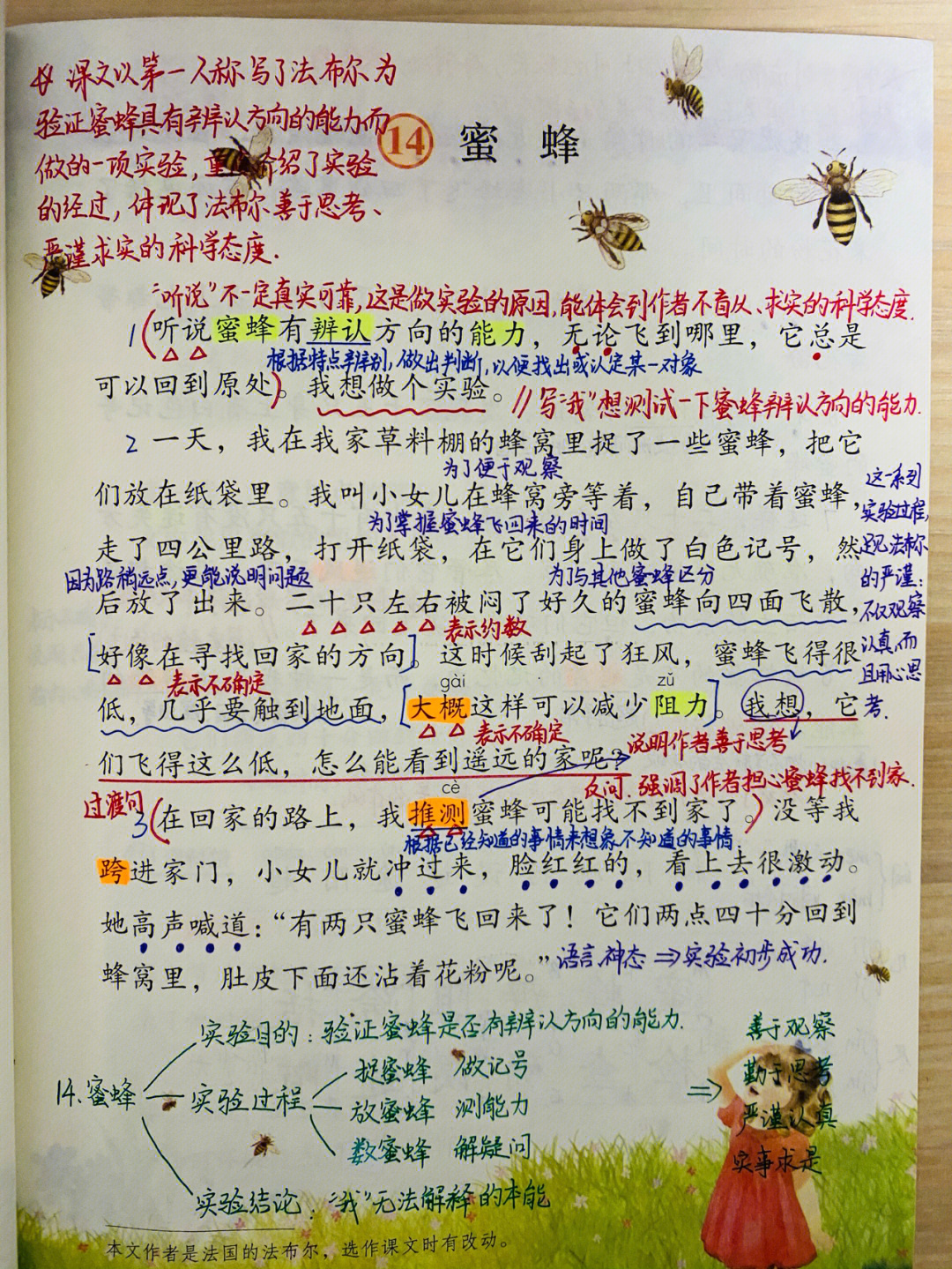 三年级下册语文第14课蜜蜂笔记
