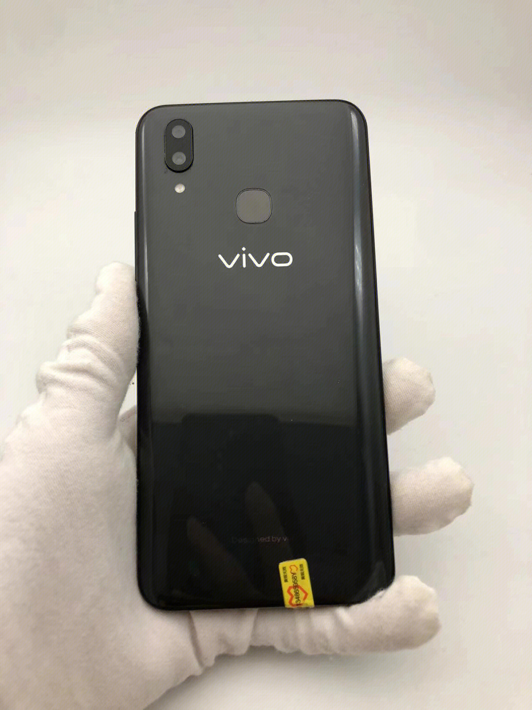 欧美同性vivox21图片