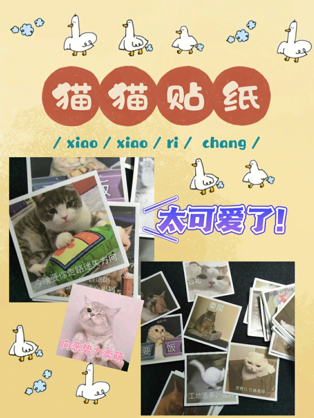 猫咪贴纸p图软件图片