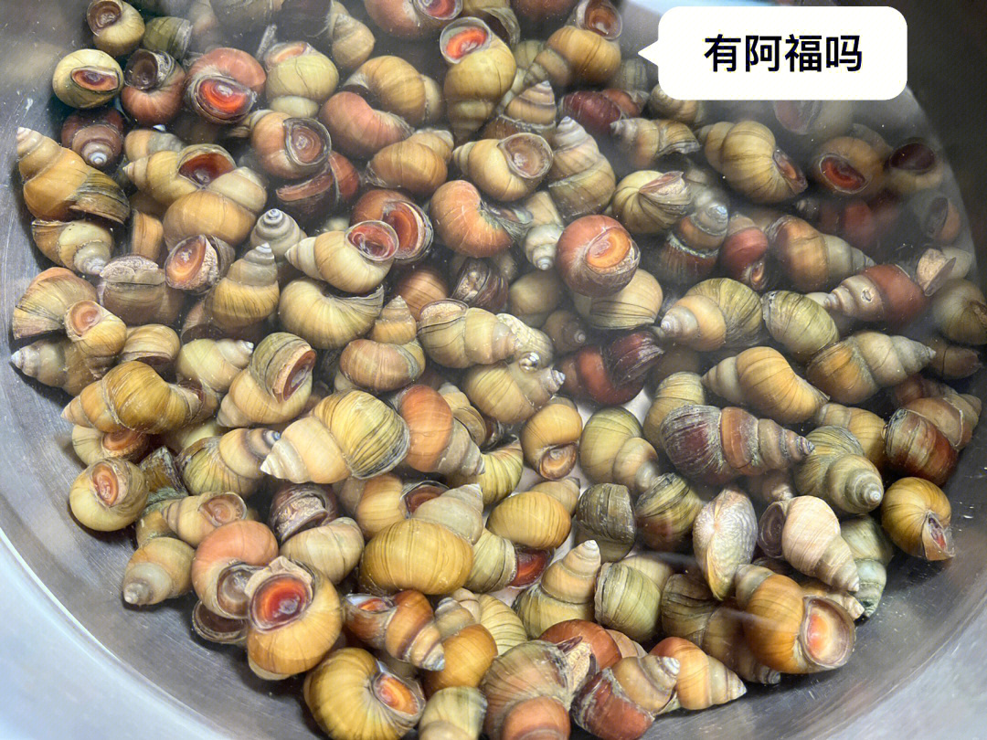 福寿螺肉的颜色图片