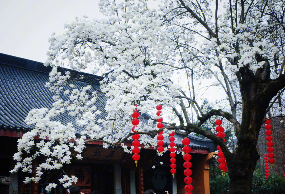 法喜寺壁纸图片