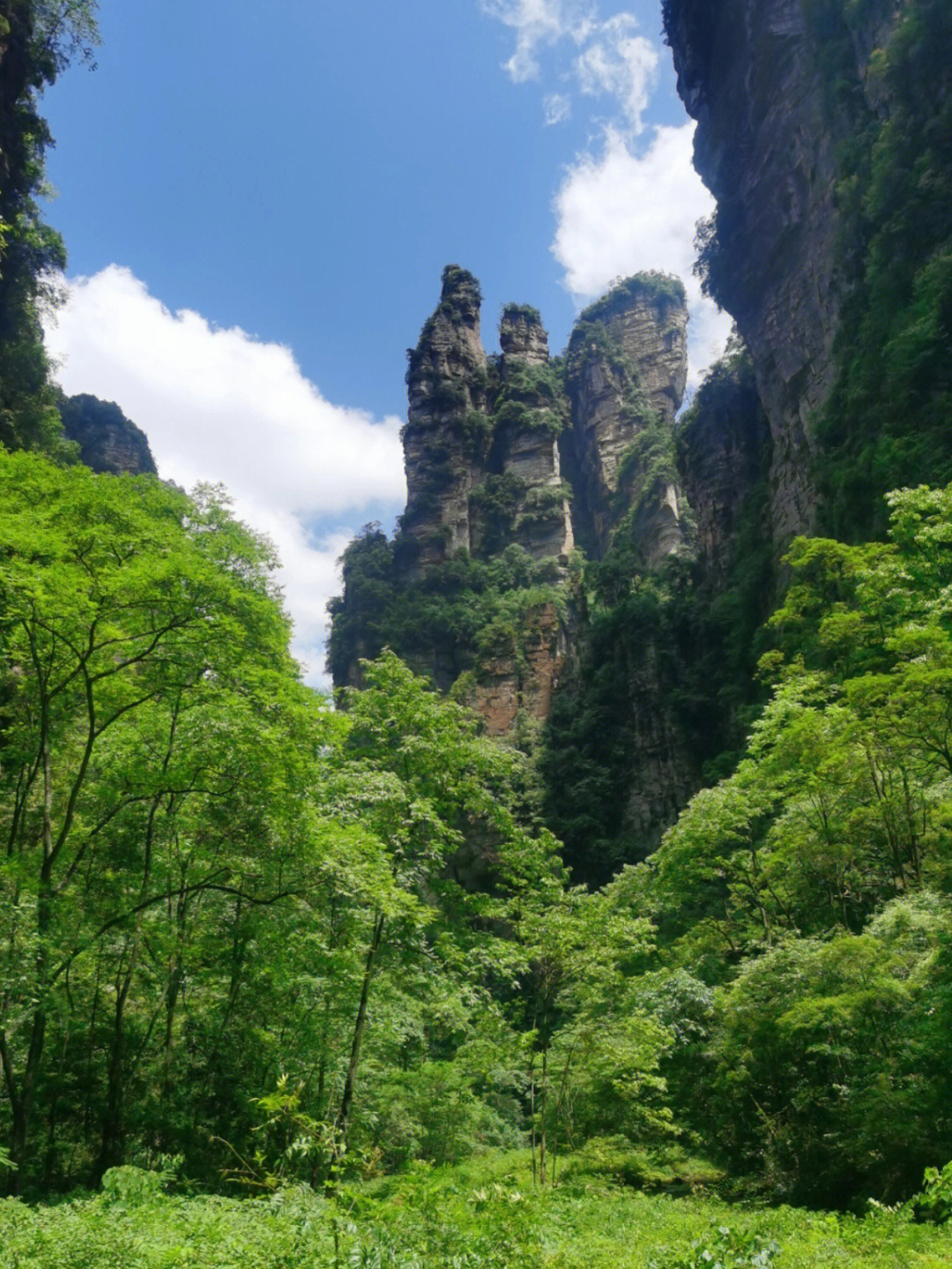 张家界比较是热门旅游景点没想到太累了不太适合平时不怎么爱动的懒人