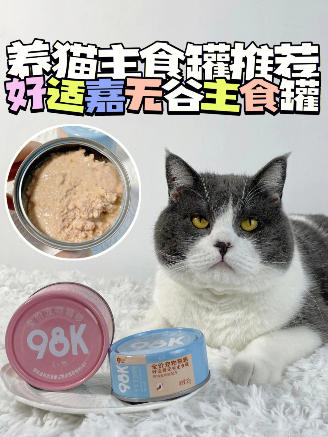 神仙猫罐头主食拯救了我家猫咪的玻璃胃