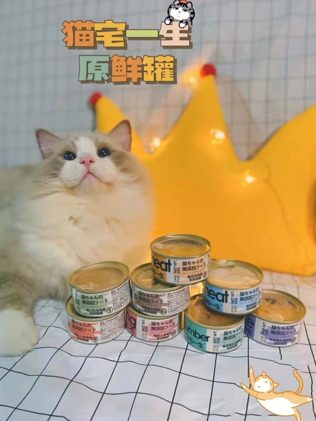 芙兰朵猫罐头图片