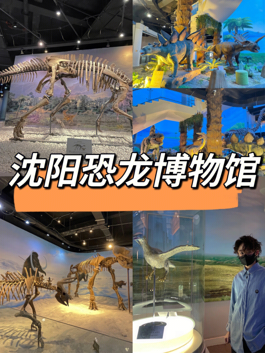 中国古生物博物馆地址图片