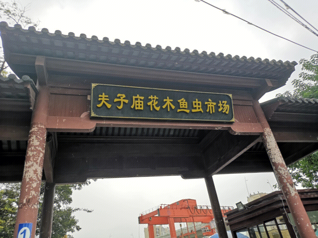 南京夫子庙花鸟市场图片