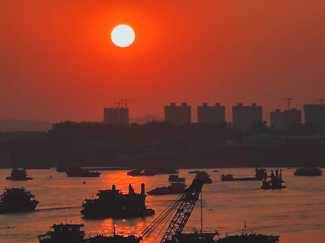 梧州高旺大桥夜景图片