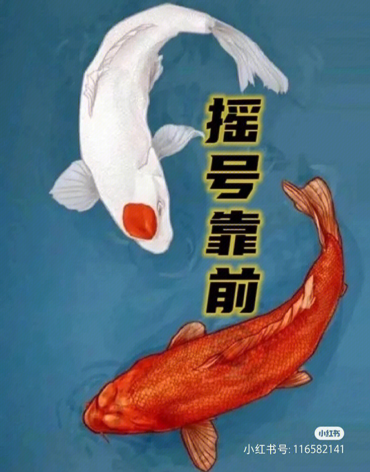 摇号必中