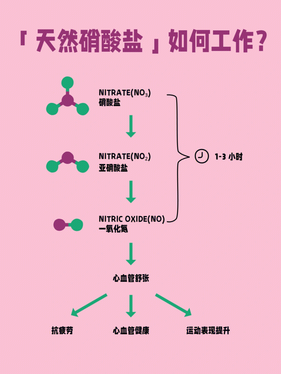 亚硝酸盐中毒机制图片