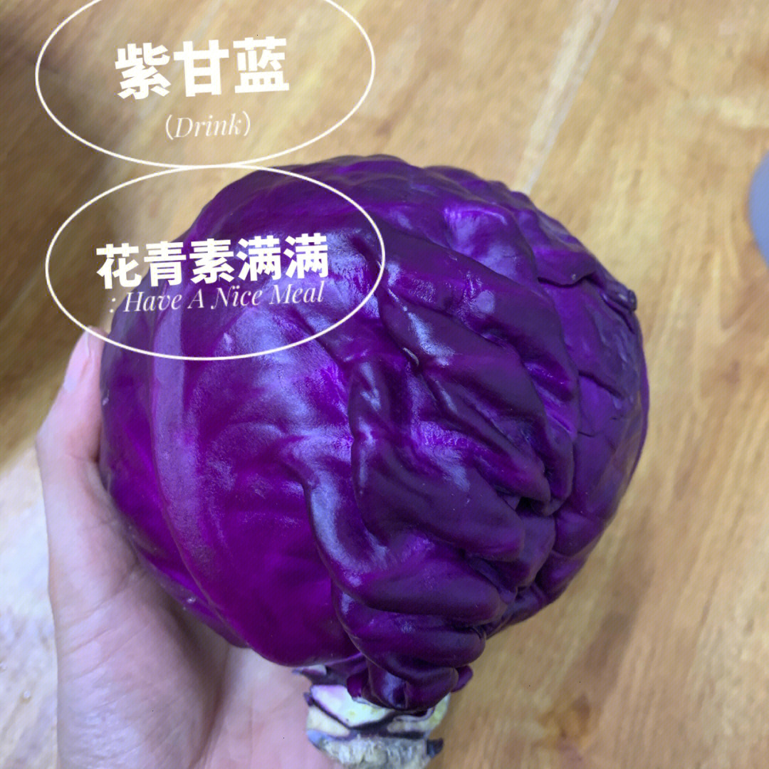 紫甘蓝变色实验记录表图片