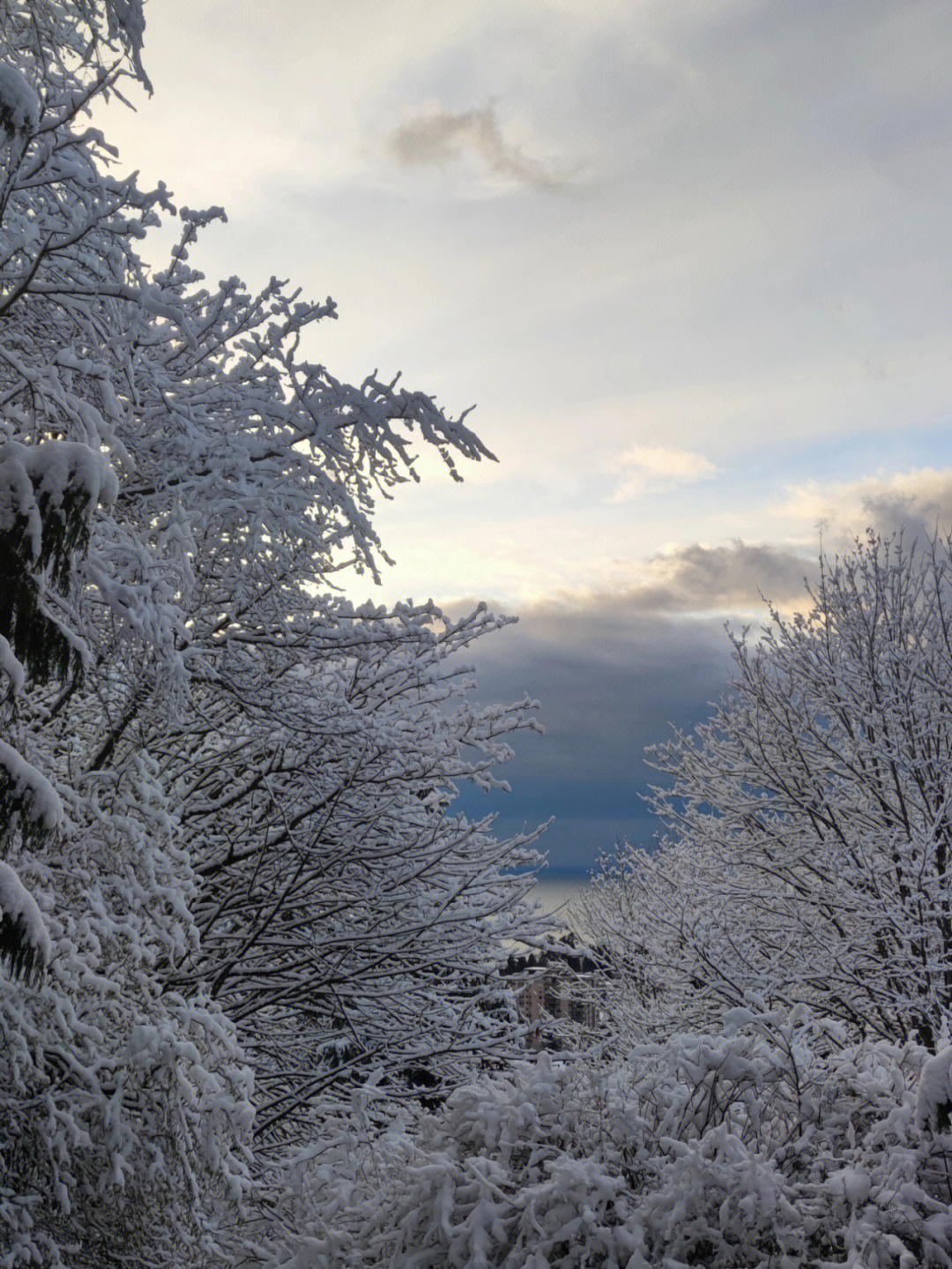 温雪景判决书图片